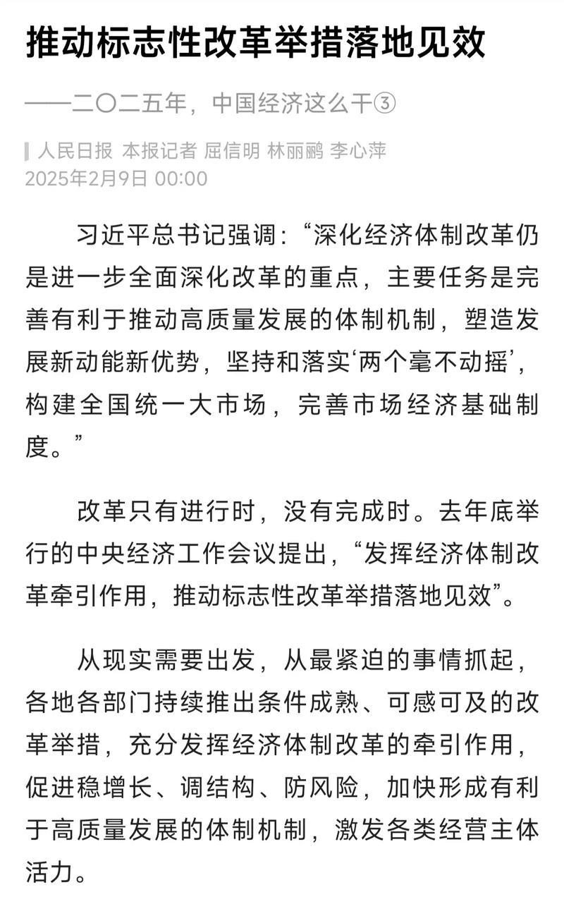 推动标志性改革举措落地见效——二〇二五年,中国经济这么干③ 推动标志性改革举措落地见效——二〇二五年,中国经济这么干③